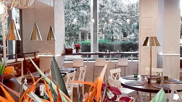 Rio Samba Churrascaria