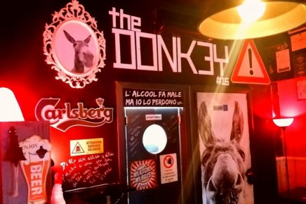 The Donkey #16