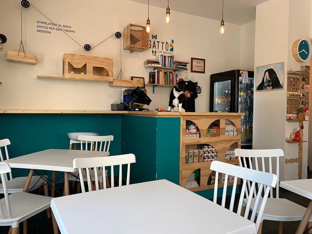 Gattò Bistrot